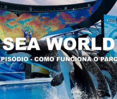 Orlando – Como funciona o Sea World? Com Bruna Carvalho (Chiquititas) e Rogério Enachev